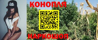стафф Тверь